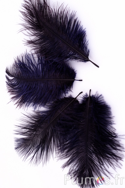 Autruche  - 13-18 cm - bleu nuit